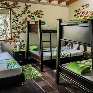 the-garden-of-blues-hostel.colombiamedellinhotels.com/